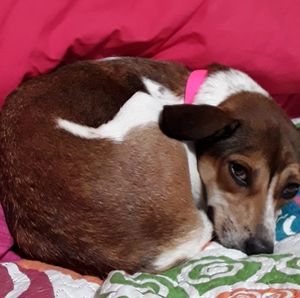 Meet your Posher, Jackie